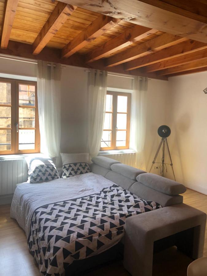 Le Double Pirou # 2 Appartements # Halte Auvergne Thiers Εξωτερικό φωτογραφία